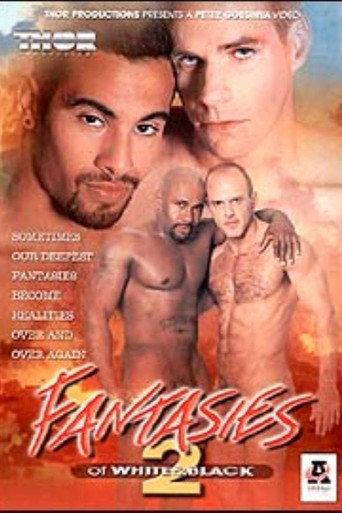 Fantasies Of White & Black 2 (2003) poster