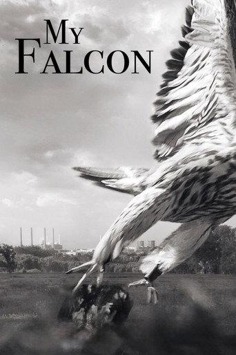 My Falcon (2023) poster