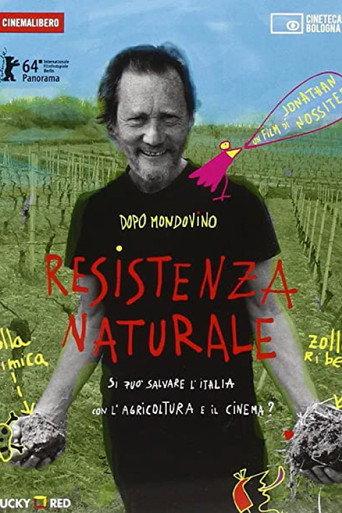 Resistenza alsaziana (2014) poster