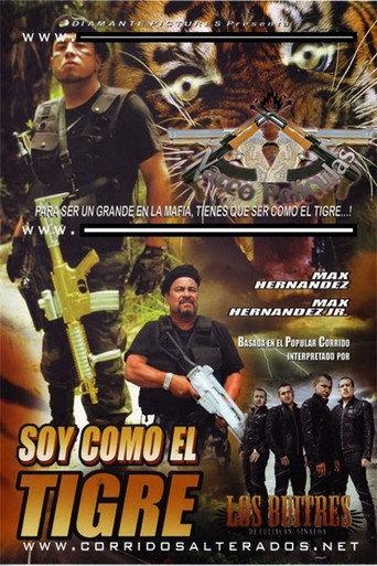 Soy como el Tigre (2013) poster
