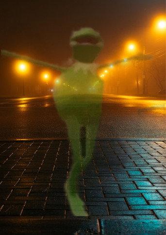 A delicate dance with god ~ {Kermit (2024) poster