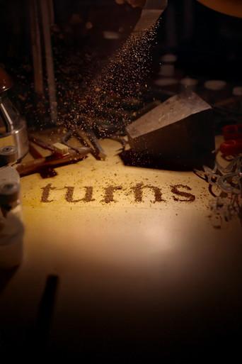 Turns (2015) poster