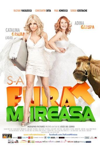 They stole the bride (2012) poster