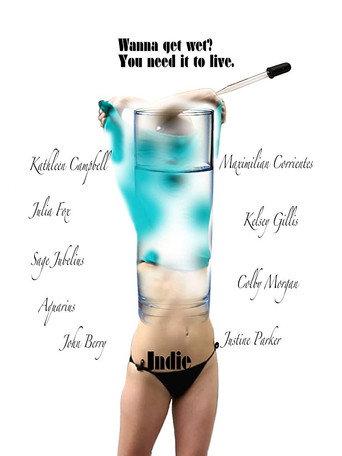Indie (2014) poster