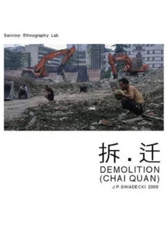 Demolition (2008) poster
