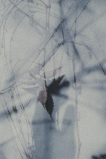 Ruins of Logi (1989) poster