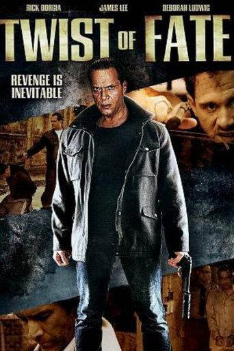 Twists of Fate (2012) poster