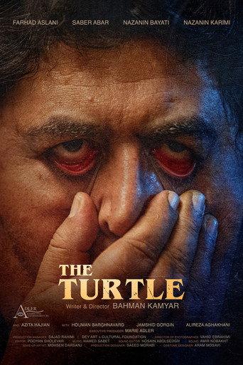 The Turtle (2025) poster