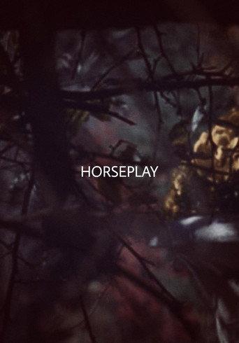 Horseplay (2017) poster