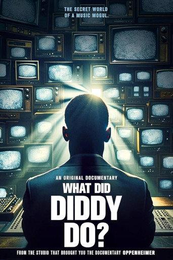 What Did Diddy Do? () poster