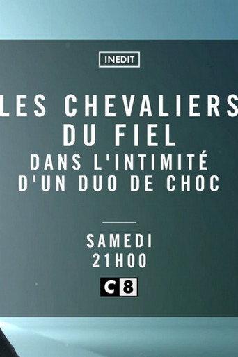 Les Chevaliers du Fiel - Dans l'intimité d'un duo de choc (2018) poster