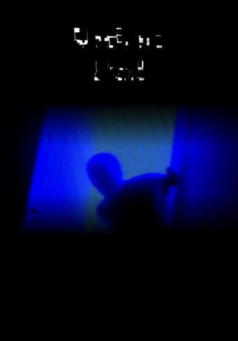 VIDEO PAL (2024) poster