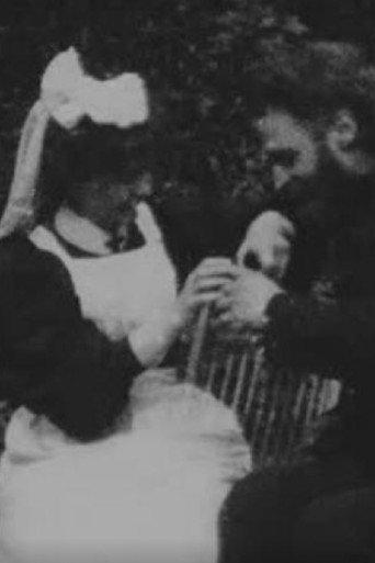 The Postman and the Nursemaid (1899) poster