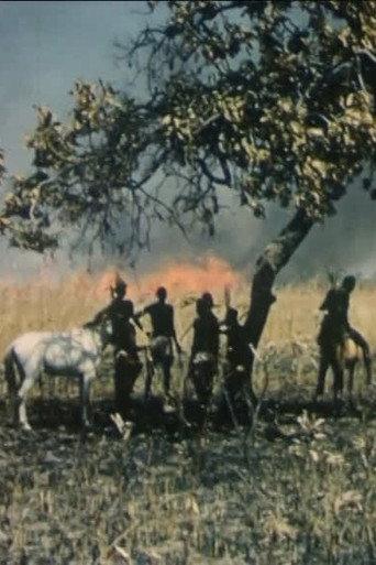 Chefs de terre (1963) poster