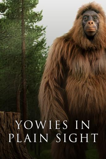 Yowies in Plain Sight () poster