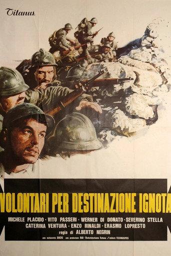 Volunteers for an Unknown Destination (1979) poster