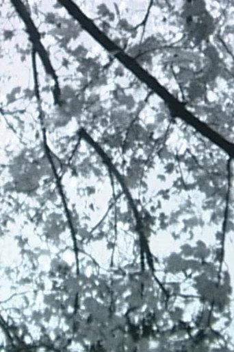 Branches Along the Trail (2018) poster