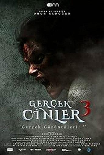Gerçek Cinler 3 () poster