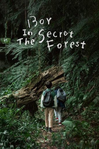 Boy in the Secret Forest (2024) poster