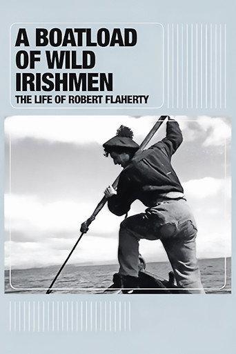A Boatload of Wild Irishmen (2010) poster