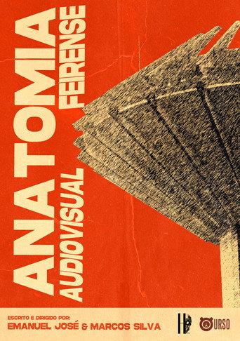 Anatomia Audiovisual Feirense (2024) poster