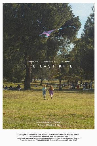 The Last Kite () poster