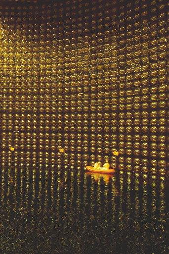 Neutrino - The Poet Among the Elementary Particles () poster
