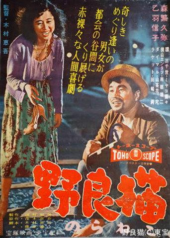 Stray Cat (1958) poster