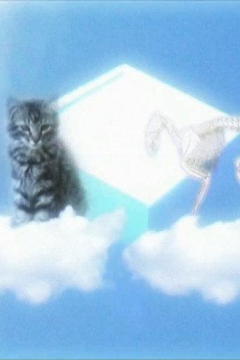 Le Chat De Shrodinger (2006) poster