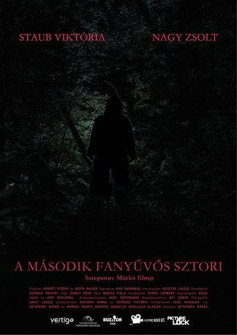 Sasquatch Story No.2 () poster