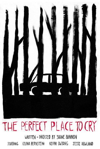 The Perfect Place to Cry (2023) poster