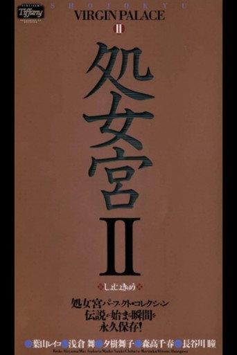 Virgin Palace 2 (2005) poster
