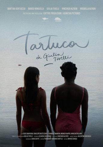 Tartuca () poster