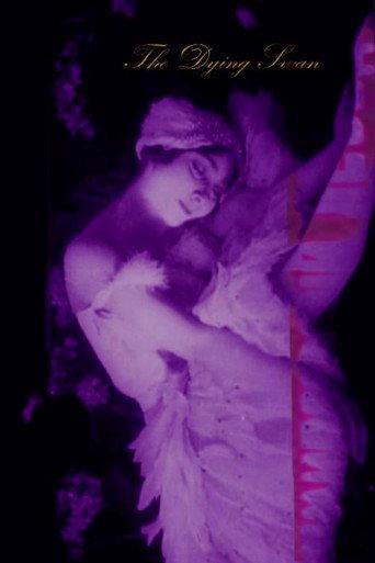 The Dying Swan (1917) poster