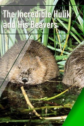 The Incredible Hulik and His Beavers (2002) poster