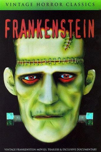 Mary Shelley's Frankenstein - A Documentary (2007) poster