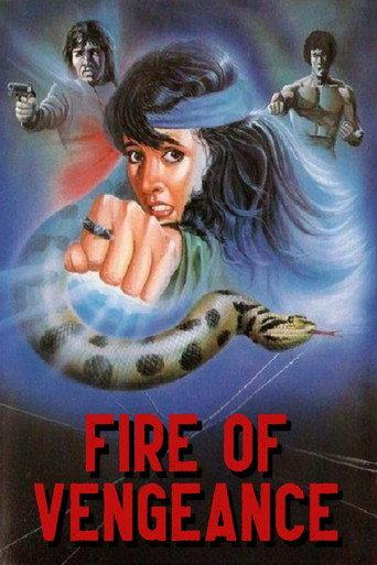 Fire of Vengeance (1982) poster