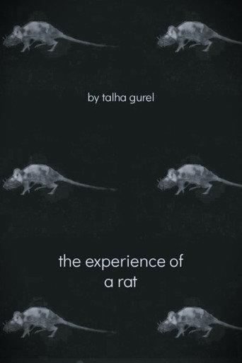 The Experience of a Rat (2025) poster