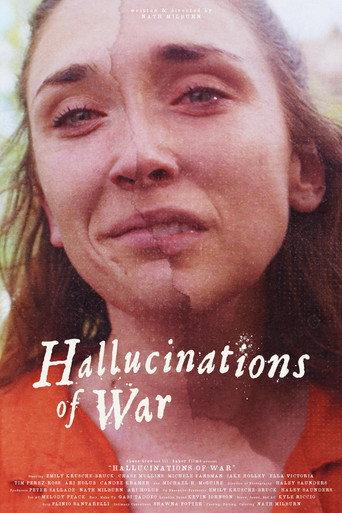 Hallucinations of War () poster