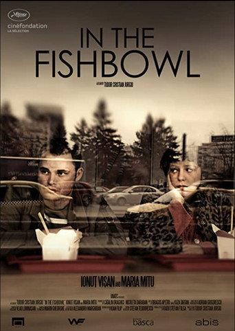 In the Fishbowl (2013) poster