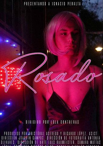Pink (2017) poster