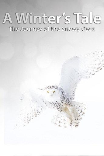 A Winter's Tale: The Journey Of The Snowy Owls (2014) poster