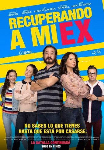 Getting My Ex-wife Back (2018) poster