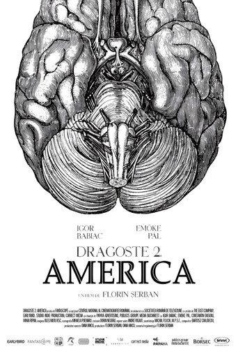 Love 2. America (2018) poster