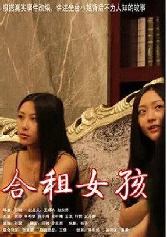 合租客 (2013) poster