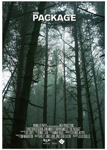 The Package (2018) poster