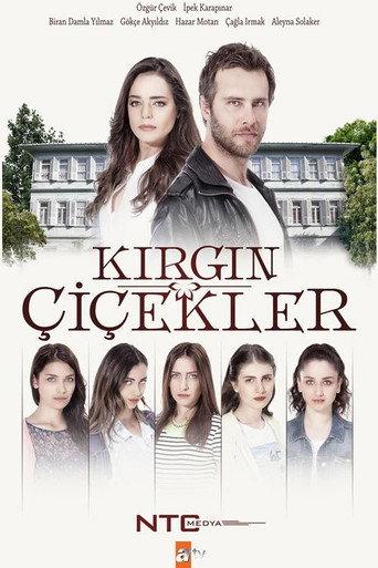 Kırgın Çiçekler (2015) poster