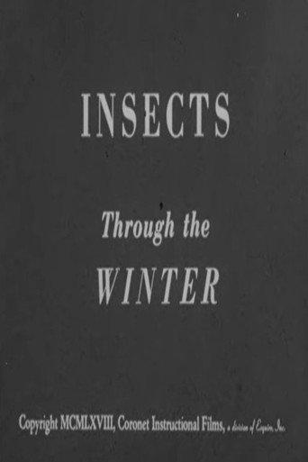 Insects Through the Winter (1968) poster