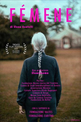 Fémene (2026) poster
