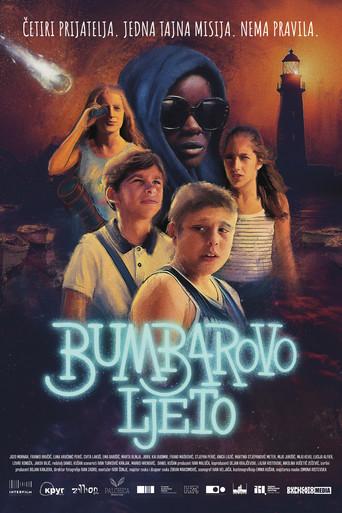 Bumblebee's Summer (2025) poster
